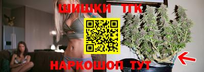 индика Малгобек