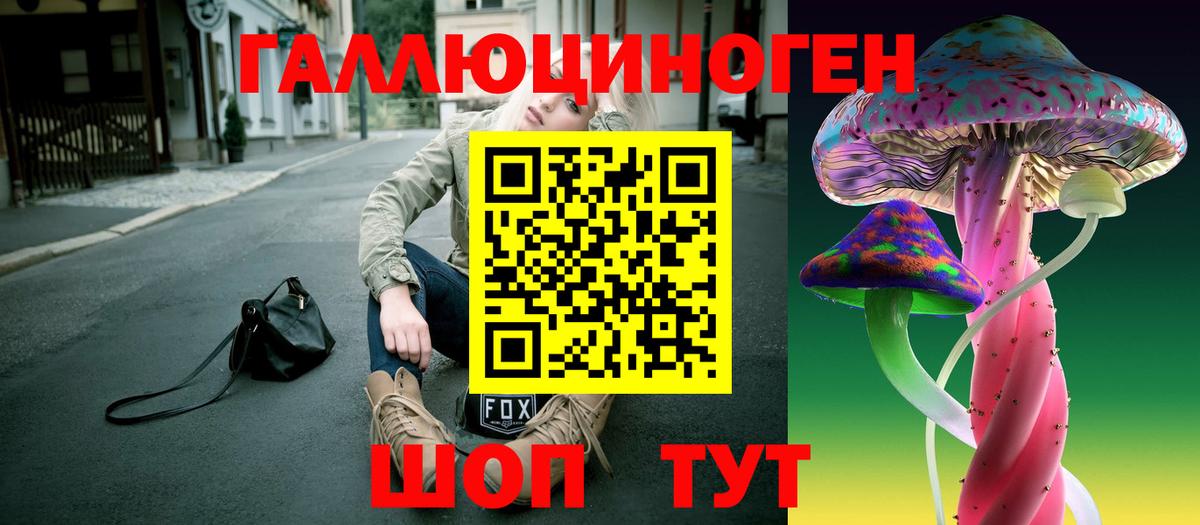 Галлюциногенные грибы MAGIC MUSHROOMS  Псилоцибиновые грибы Cubensis  Сунжа  Вход с VPN 